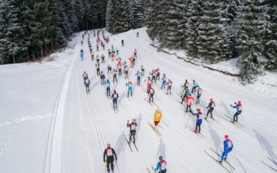 100 Tage bis zum 53. Internationalen Kammlauf