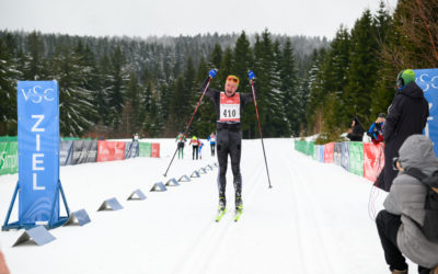 Kammlauf LIGHT in Klingenthaler Hand